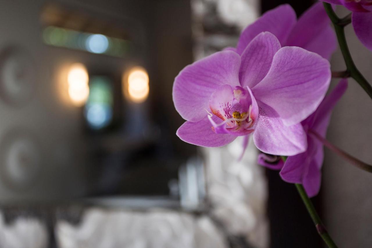 Moya Safari Villa フッドスプルイト エクステリア 写真